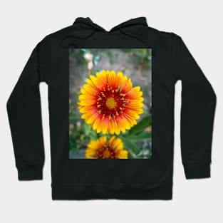 Beautiful Summer Flower Hoodie